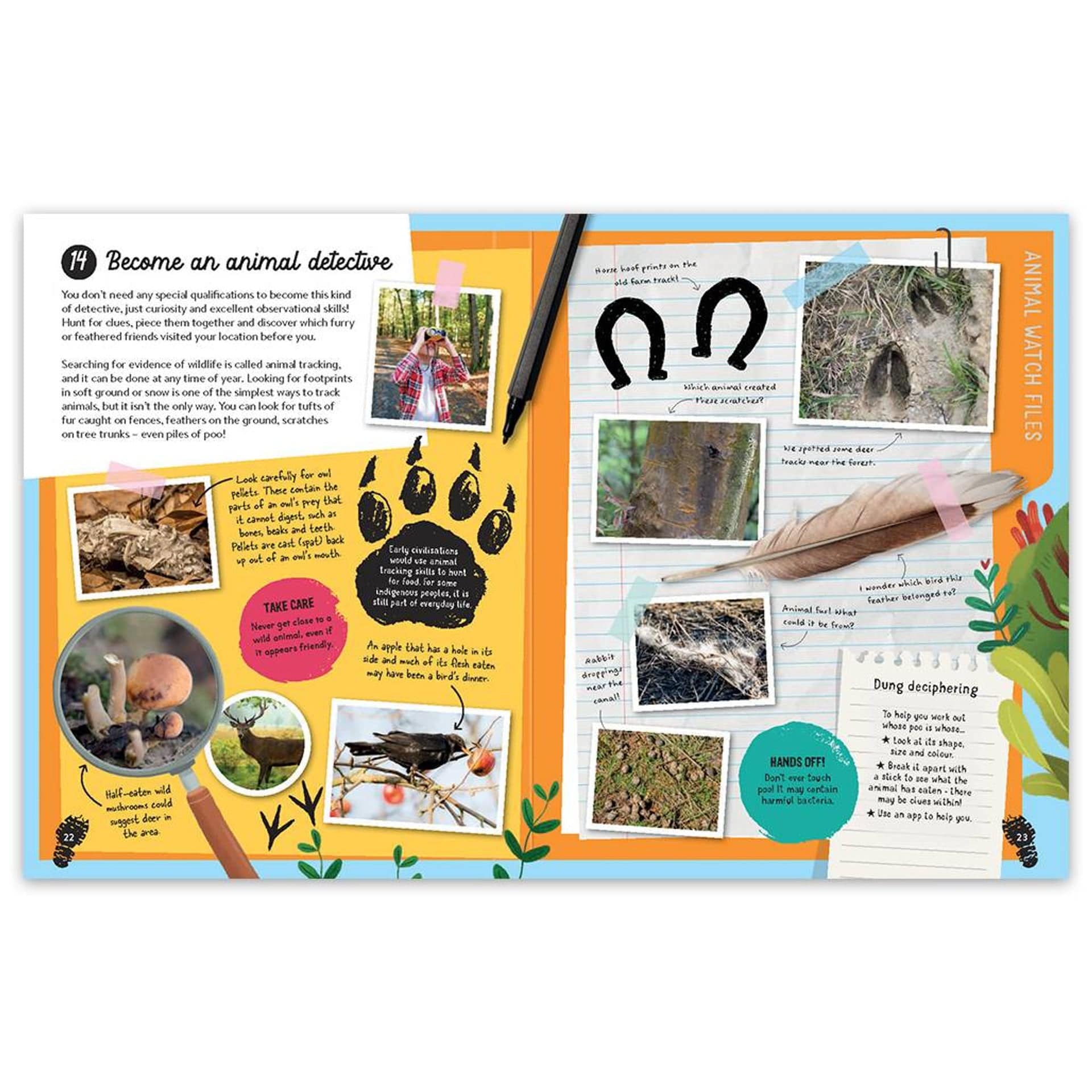 101 Things To Do On A Walk