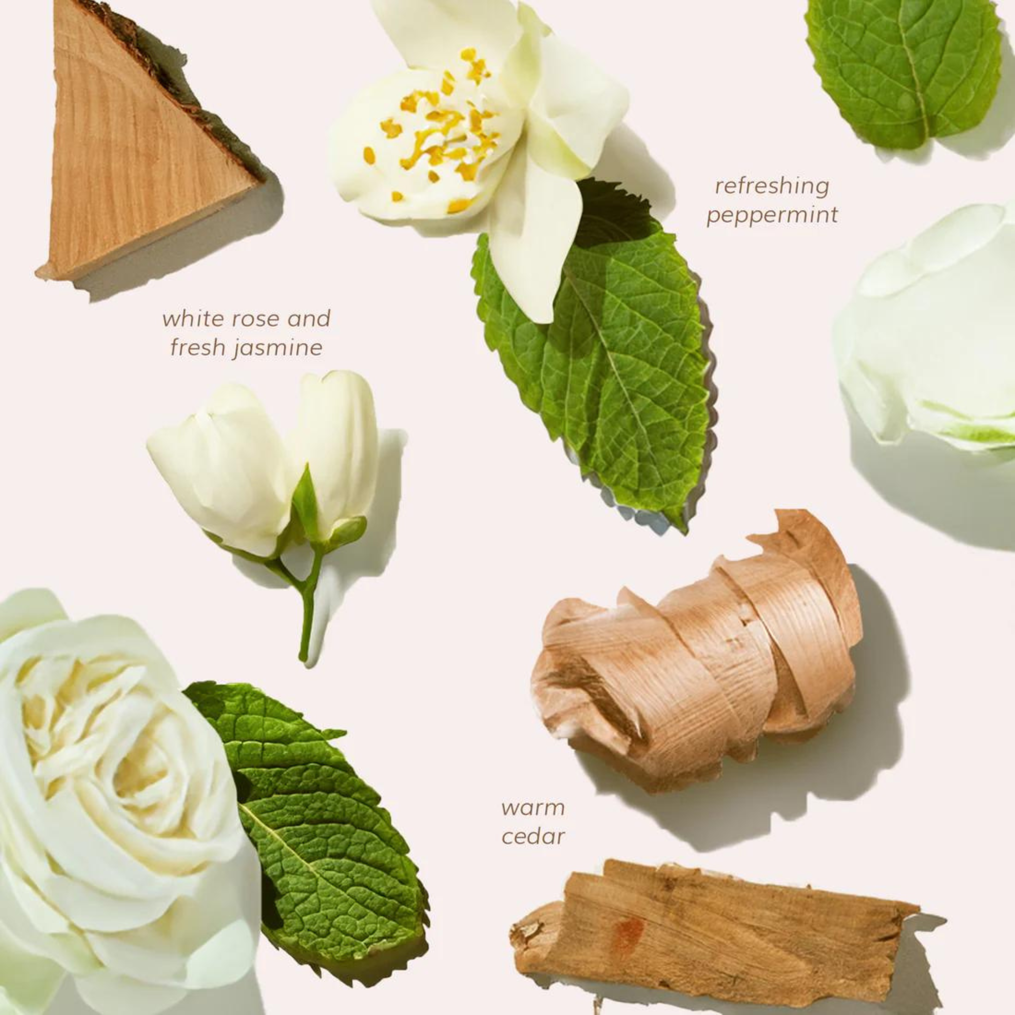 Anti Pollution Club - Protein Shake Hair Mask 250ml