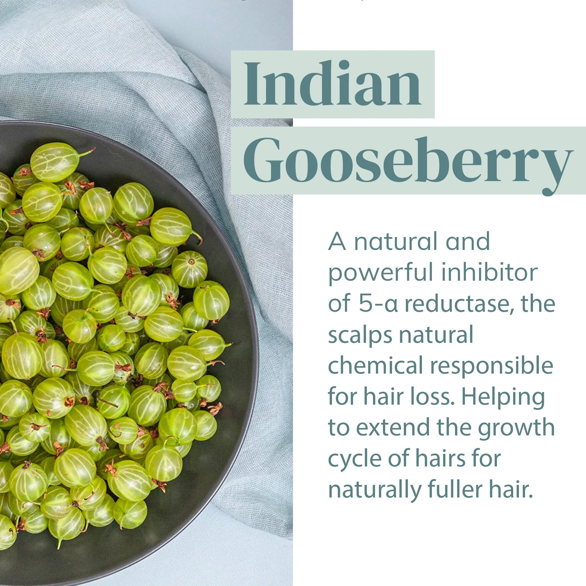 Hydrating Volumizing Conditioner 500ml