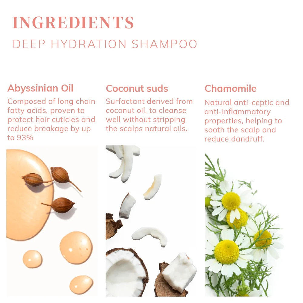 Deep Hydration Shampoo 500ml