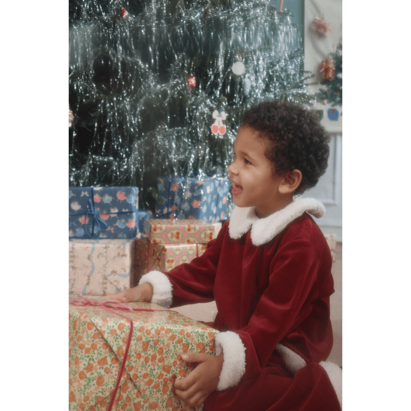 Christmas Set Grs - Red Dahlia