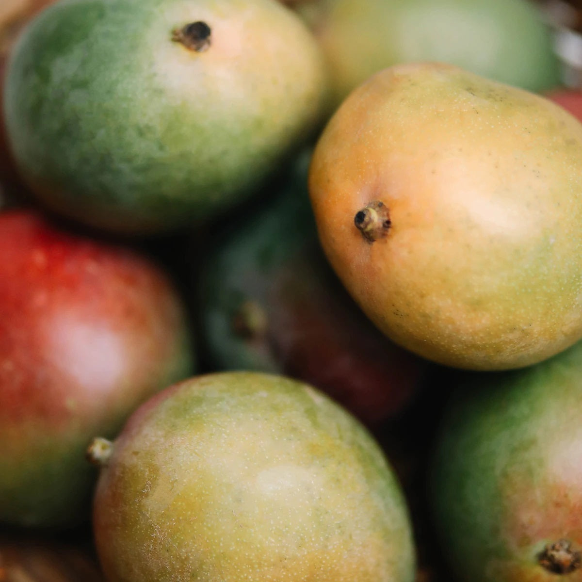 Mango Sparkling Water 330ml