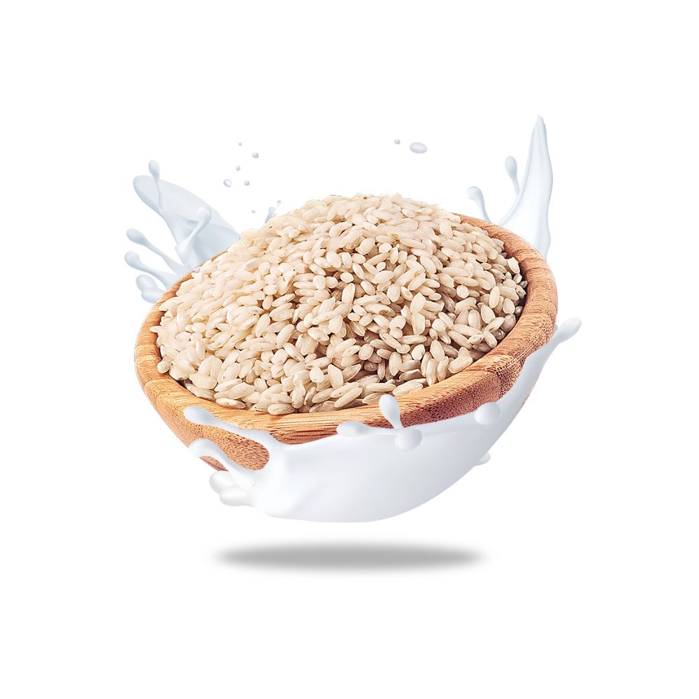 Organic Vegan Natural Rice Milk (BEST BEFORE DATE : 7/11/2025)