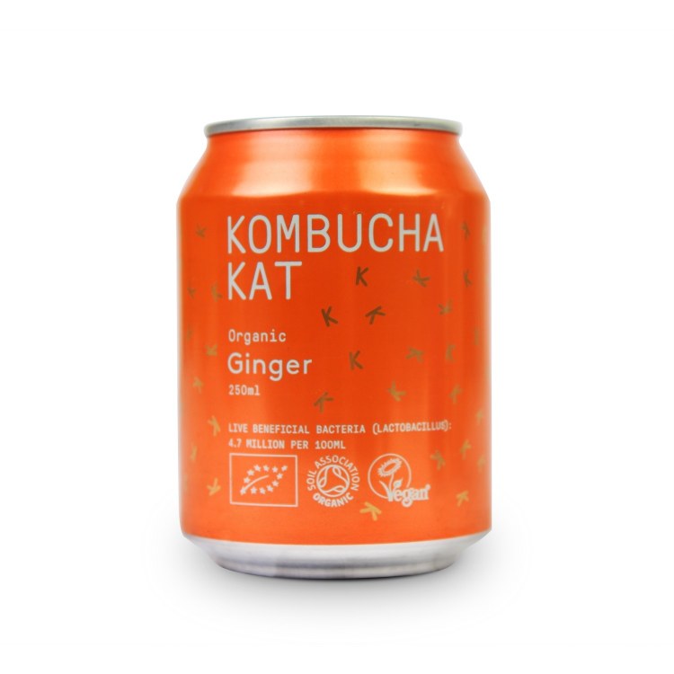 Ginger Kombucha