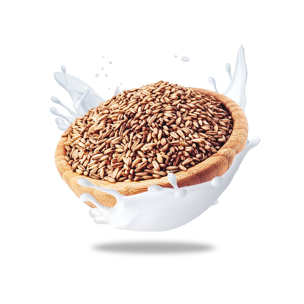 Organic Vegan Natural Oat Milk