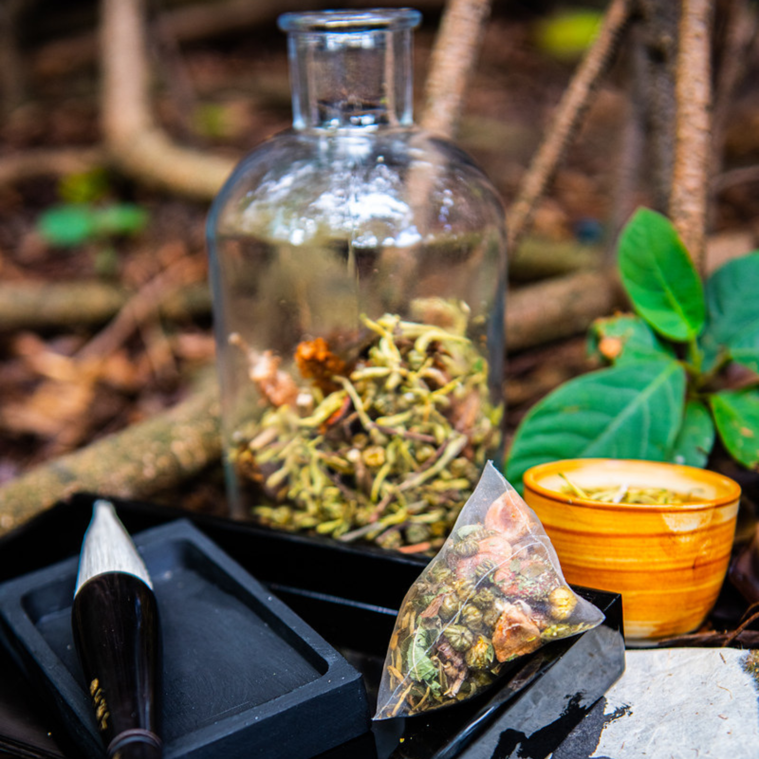 Honeysuckle & Self-heal Spike - Essential Immune Booster (10 teabags)