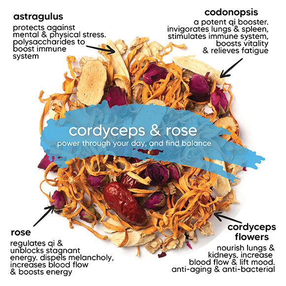 Cordyceps & Rose - Energizing Qi Booster (10 teabags)
