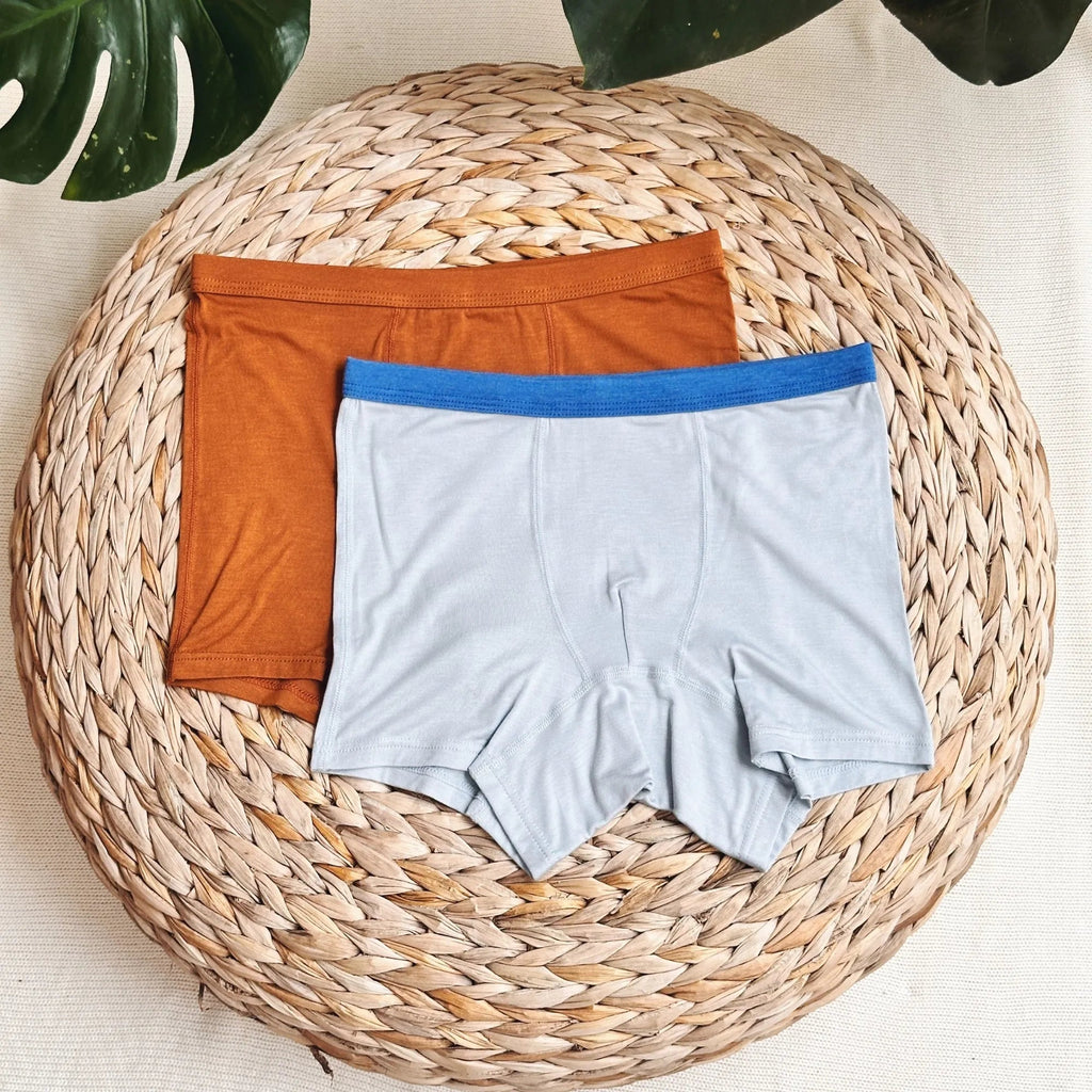 Teen Boys' TENCELâ„?Micro Modal Ultra Soft Boxer Briefs - Set of 2
