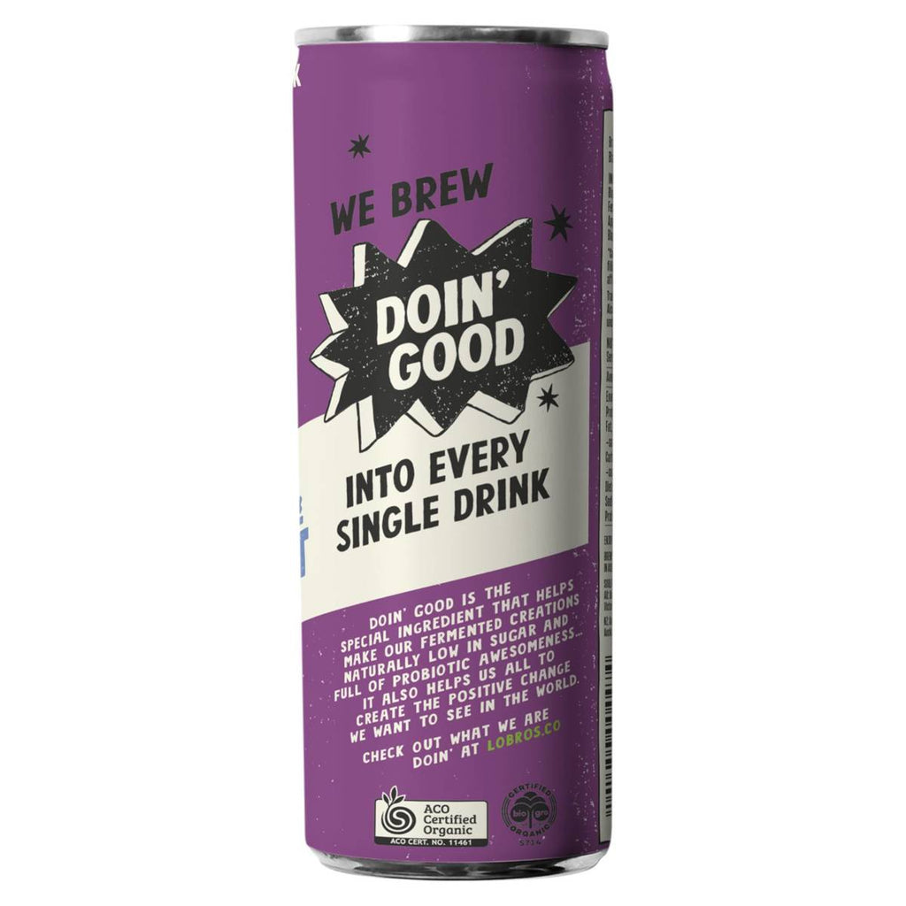 Organic Kombucha - Raspberry & Blackcurrant 250ml