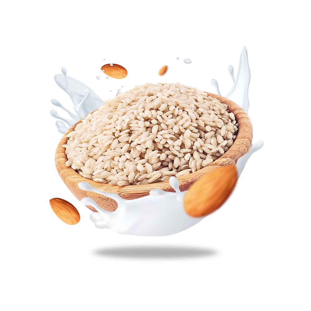 Organic Vegan Rice and Almond Milk (BEST BEFORE DATE : 7/11/2025)