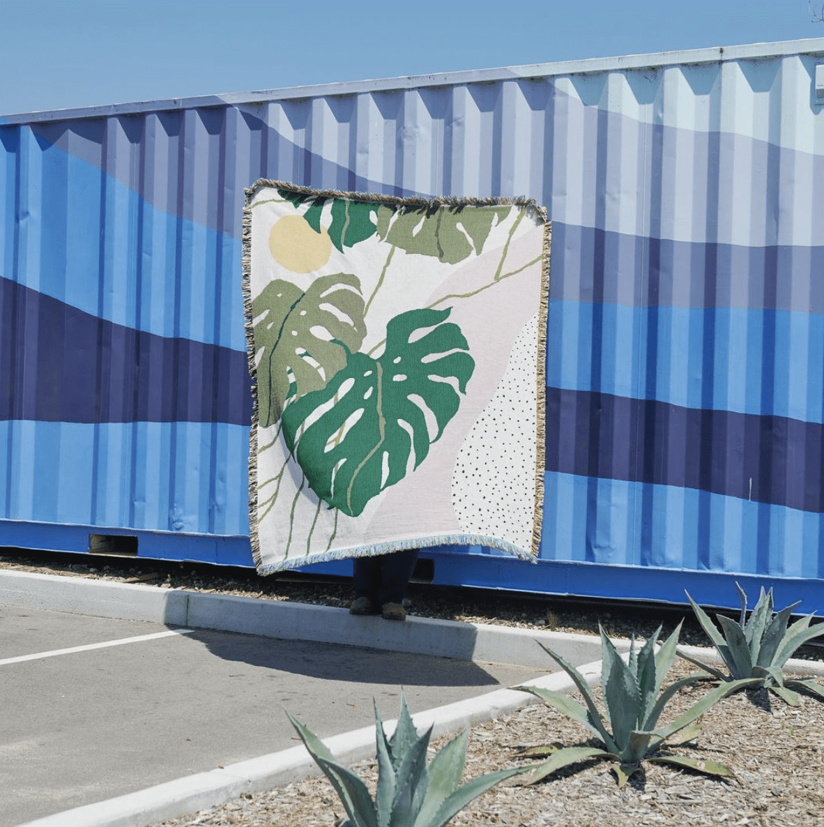 Woven Blanket Ashby Throw