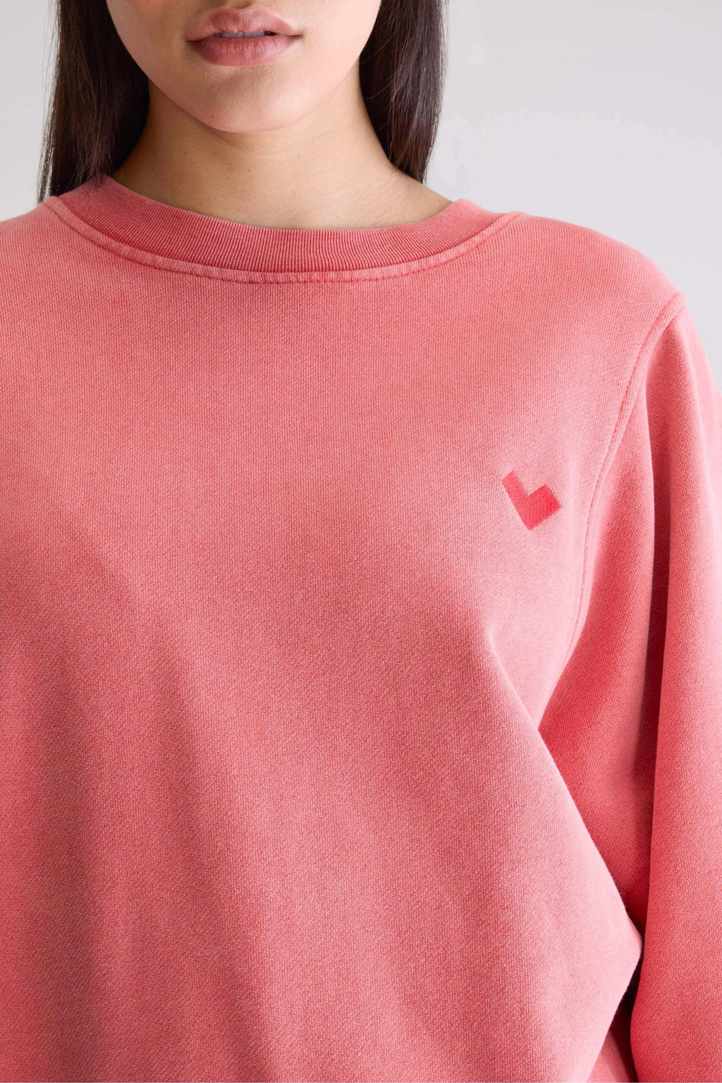 Bw252309 T1509 Filosa T1509 Sanguine