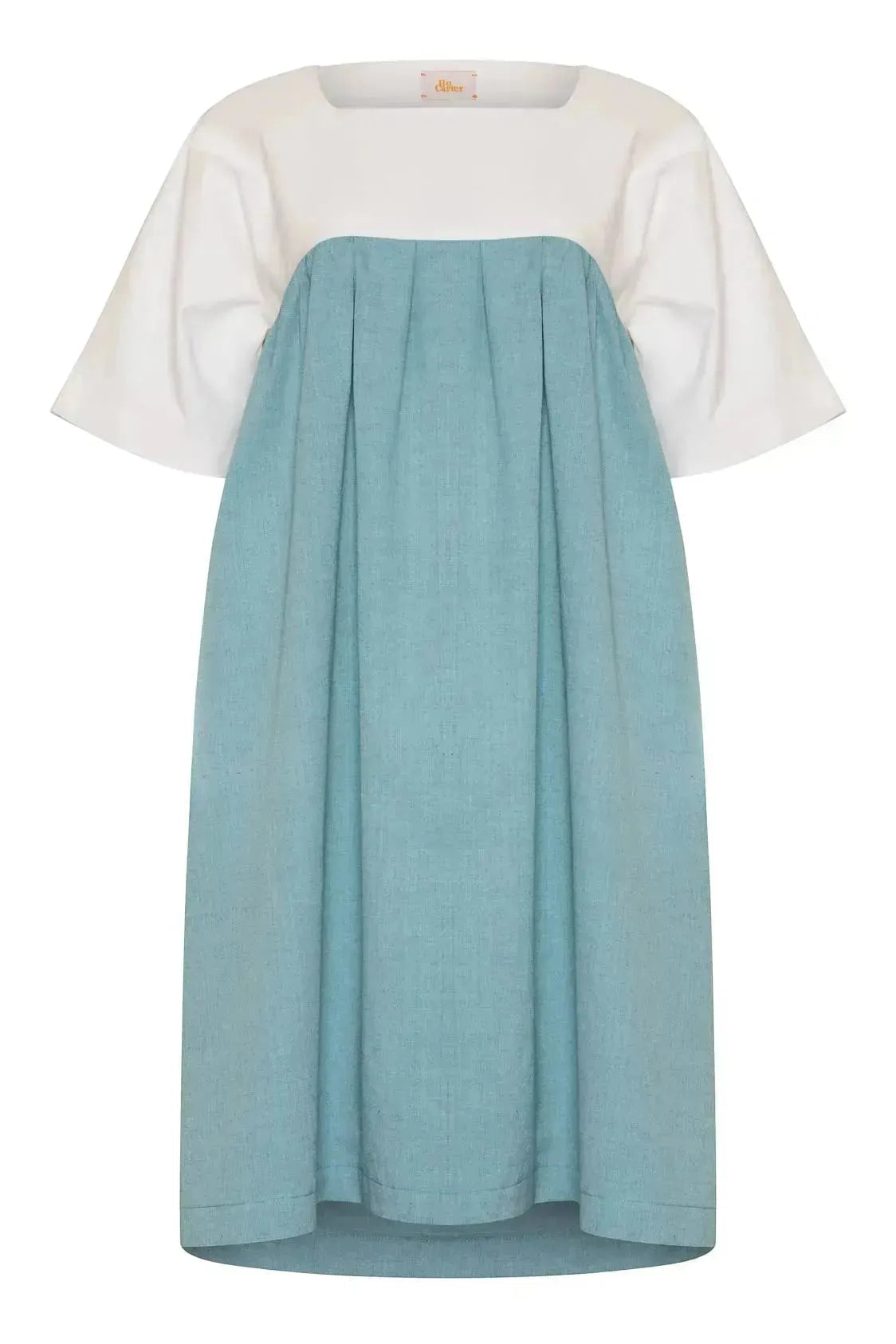 Cher Ami Dress (Blue)