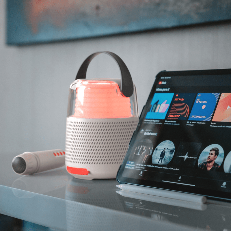 Bluetooth Grey Karaoke and Speaker