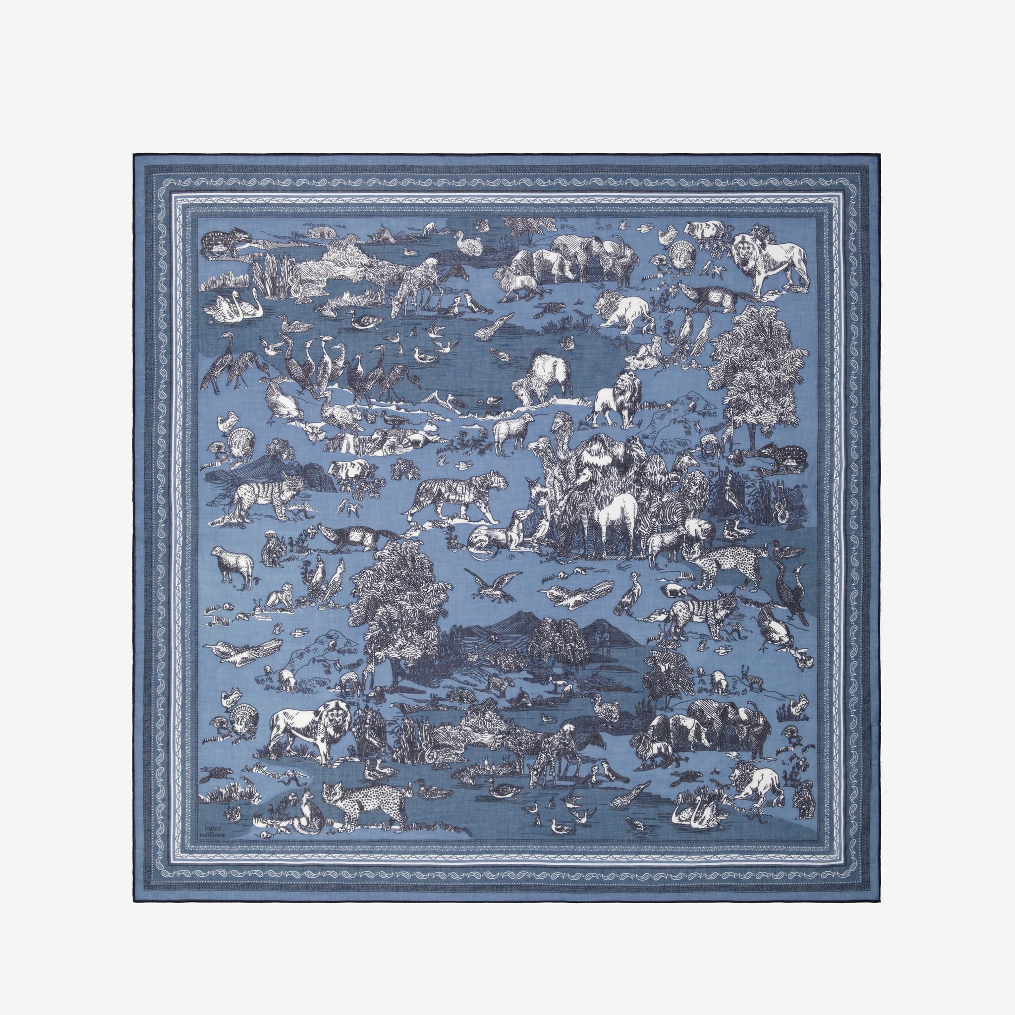 Scarf Ca212re04 Blue