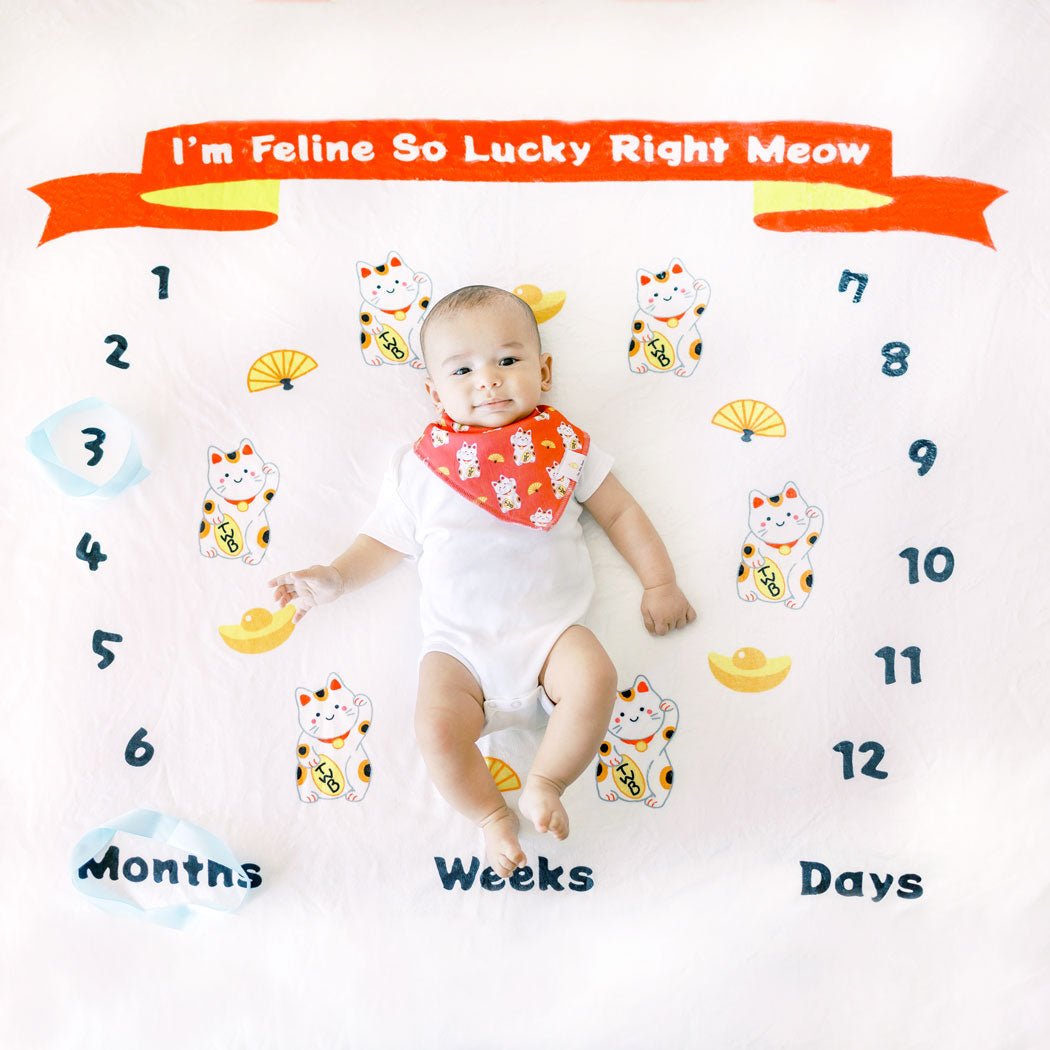 Welcome Home Baby Gift Set - Fortune Cat Maneki Neko Collection