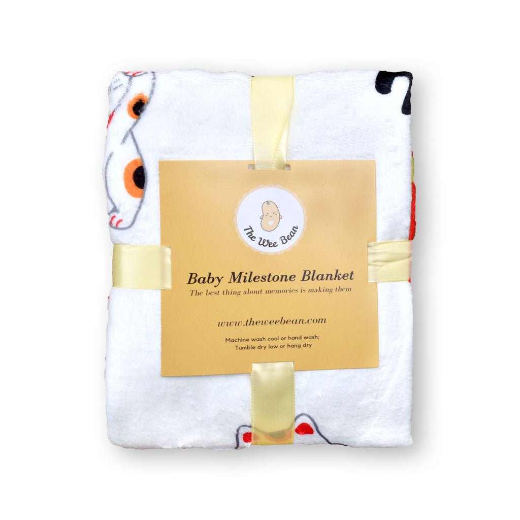 Fleece Milestone Blanket for Baby Photography - I'm Feline So Lucky Right Meow