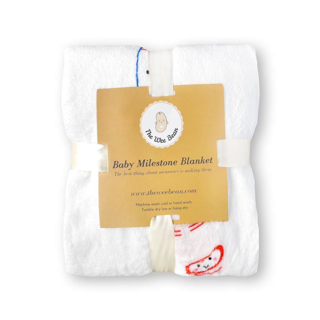 Fleece Milestone Blanket for Baby Photography - Gimme Some Sugar Baby