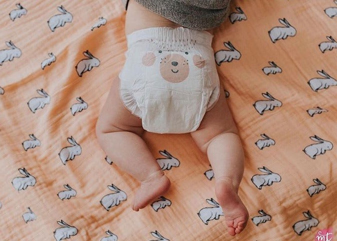 Biodegradable Nappies Size 1 (Bear & Panda / Lamb & Owl)