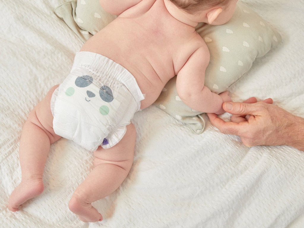 Biodegradable Nappies Size 1 (Bear & Panda / Lamb & Owl)
