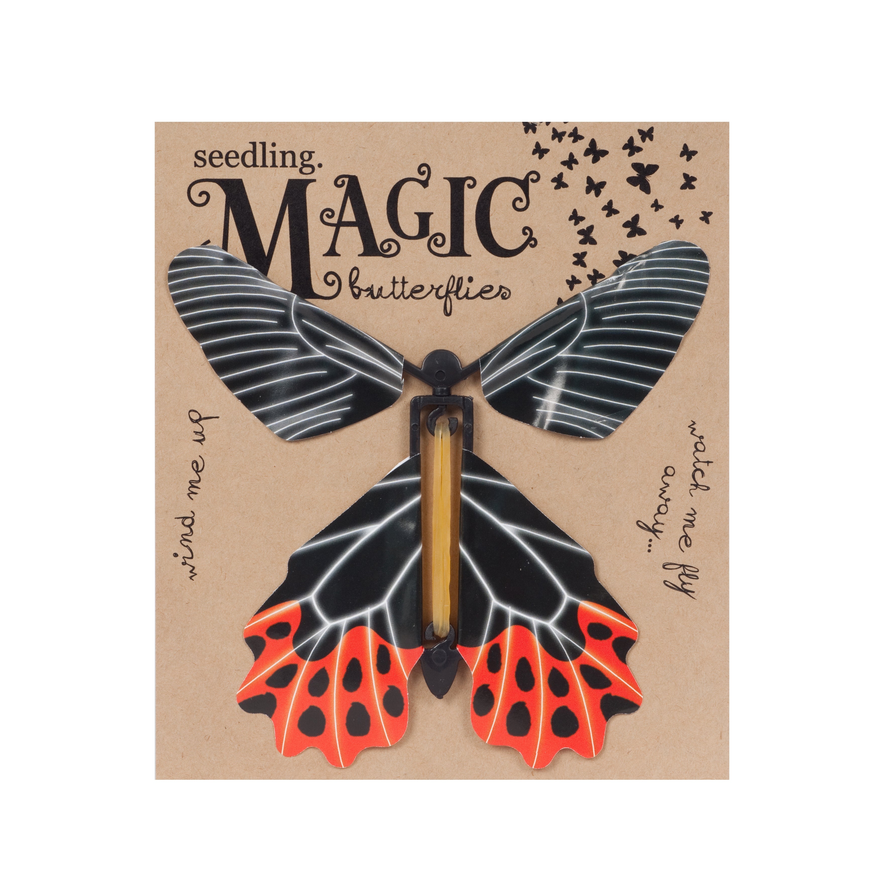 Magic Butterflies