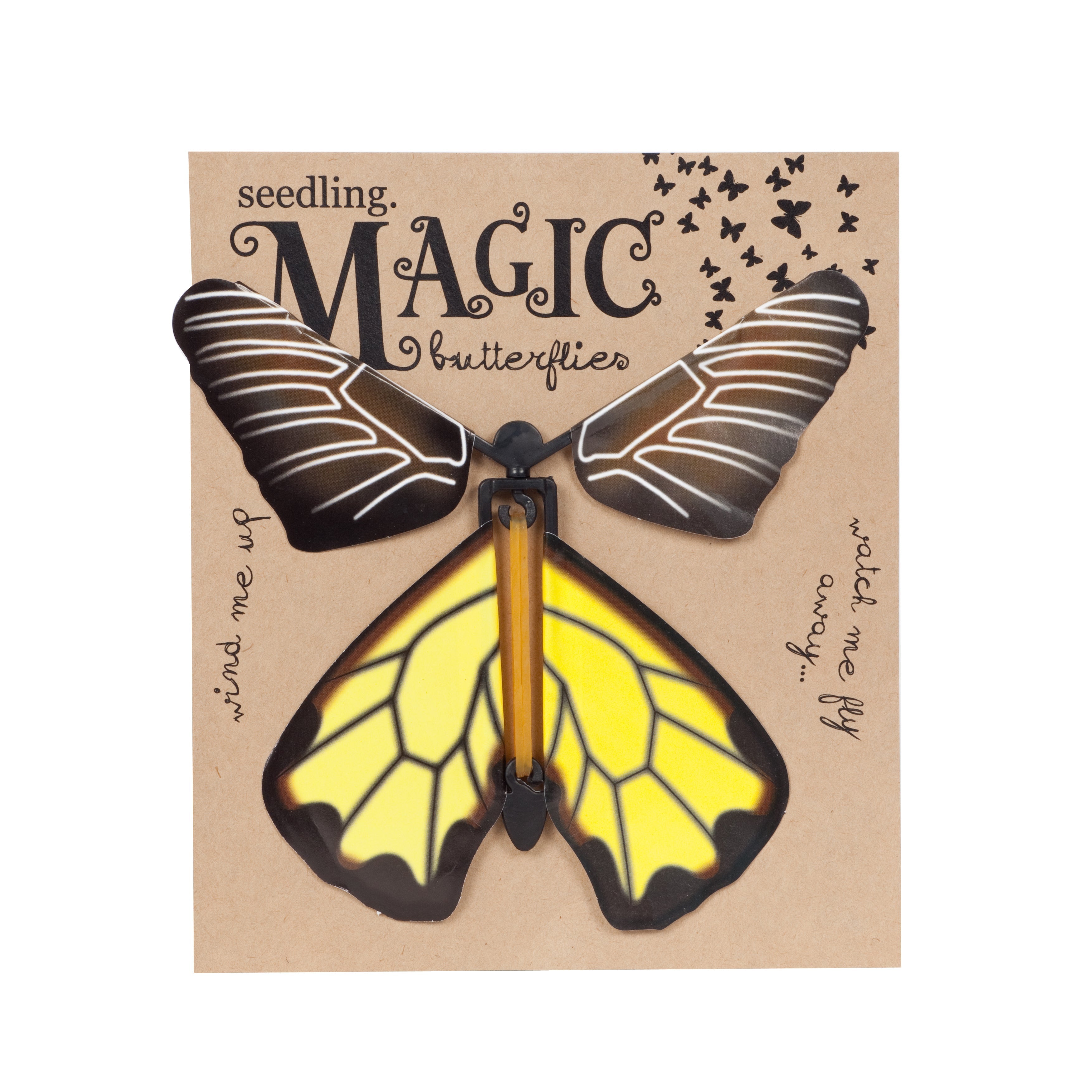 Magic Butterflies