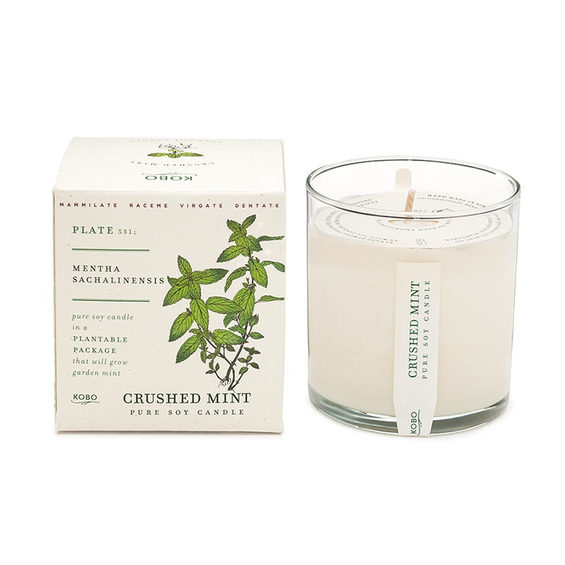 Kobo Crushed Mint Pure Soy Candle 9oz