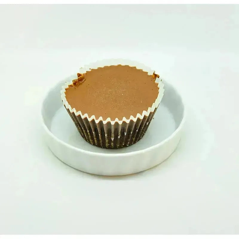 SpiceBox Organics Gluten Free Vegan Chocolate Cupcakes (Set of 2)