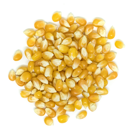 Organic Popcorn 100g (By Weight)