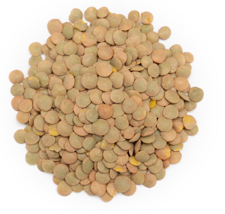Organic Green Lentils 100g (By Weight)