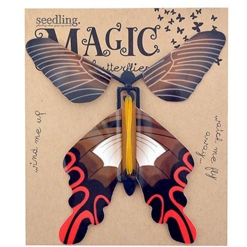 Magic Butterflies