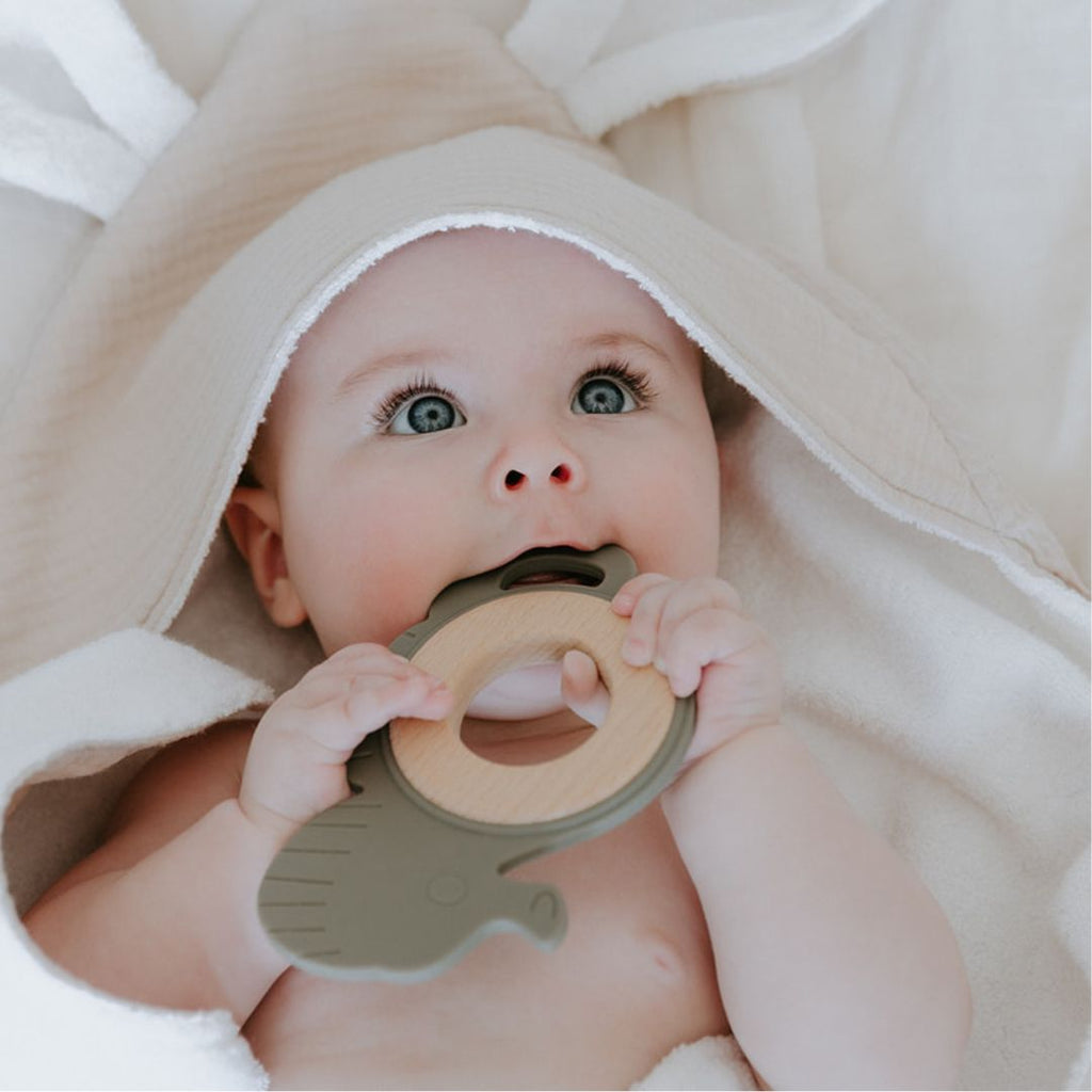 Seahorse Silicone Beech Wood Teether