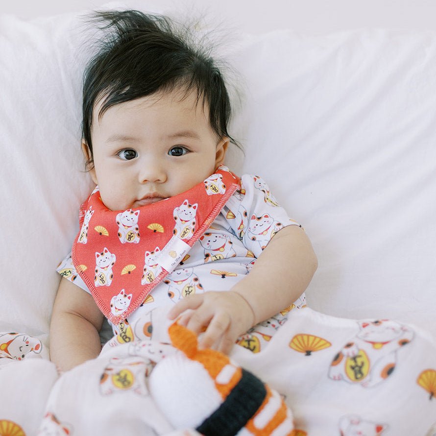 Welcome Home Baby Gift Set - Fortune Cat Maneki Neko Collection