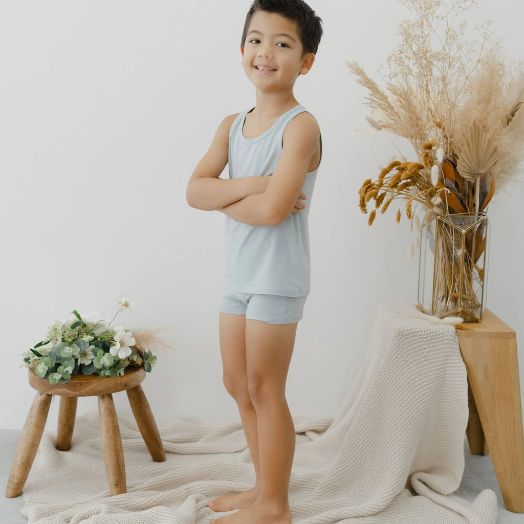 Boys' TENCELâ„?Micro Modal Ultra Soft Boxer Briefs - Set of 2
