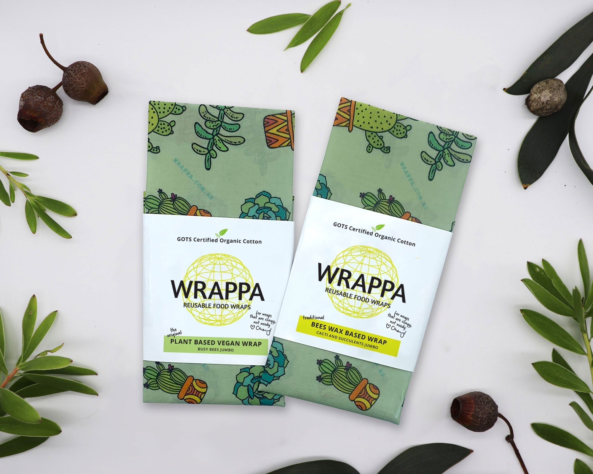 Jumbo Cacti Plant Based