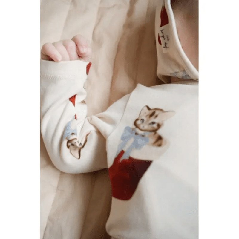 Christmas Newborn Set