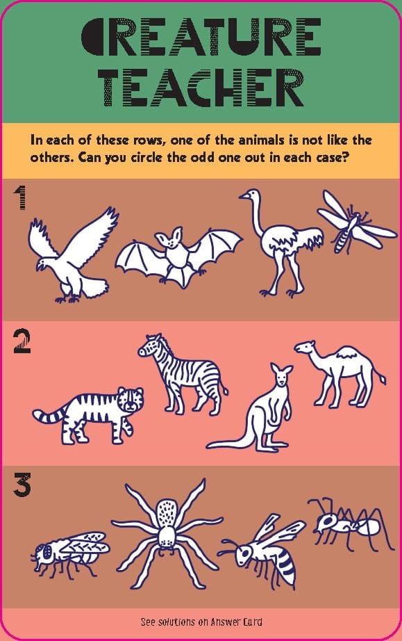 Drawing Games On The Go