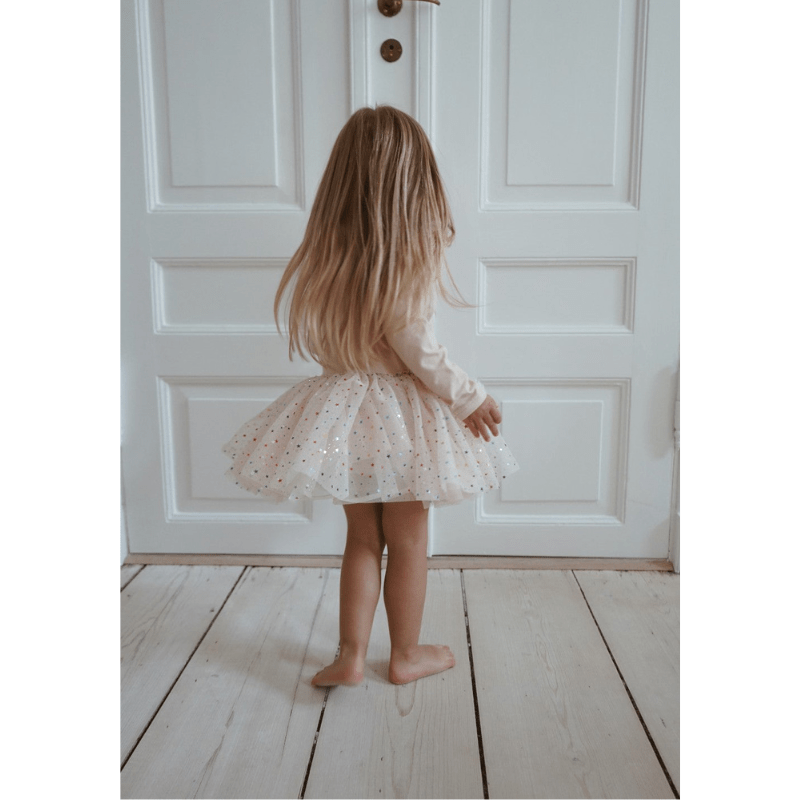 Fairy Ballerina Skirt - Etoile Multi Rose