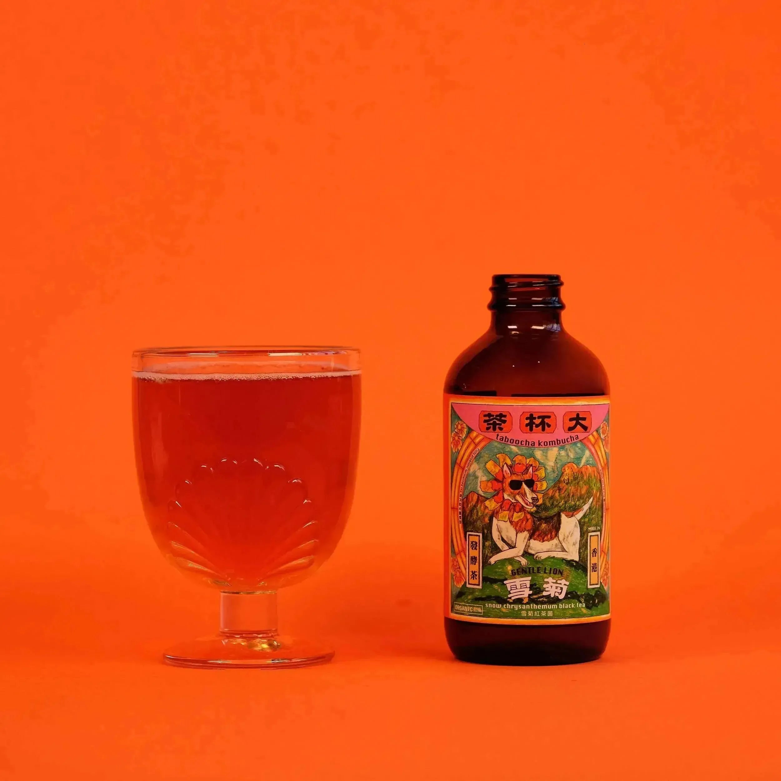 Taboocha Gentle Lion Snow Chrysanthemum Black Tea 250g