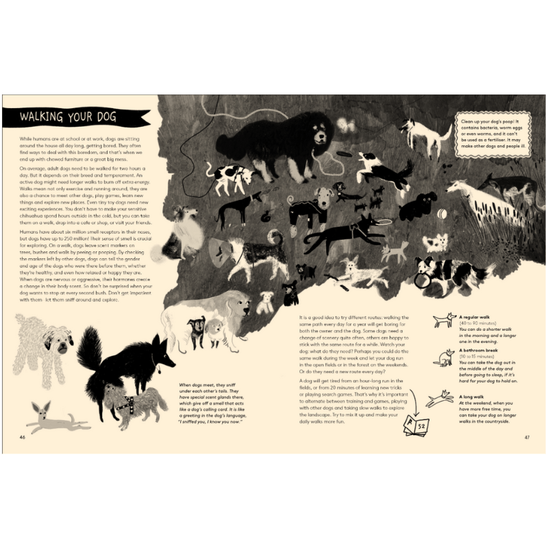 How To Be Your Dog's Best Friend