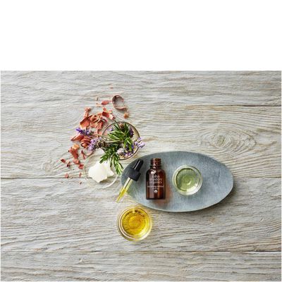 Dry Hair Nourishment & Defrizzer 0.8oz 23ml