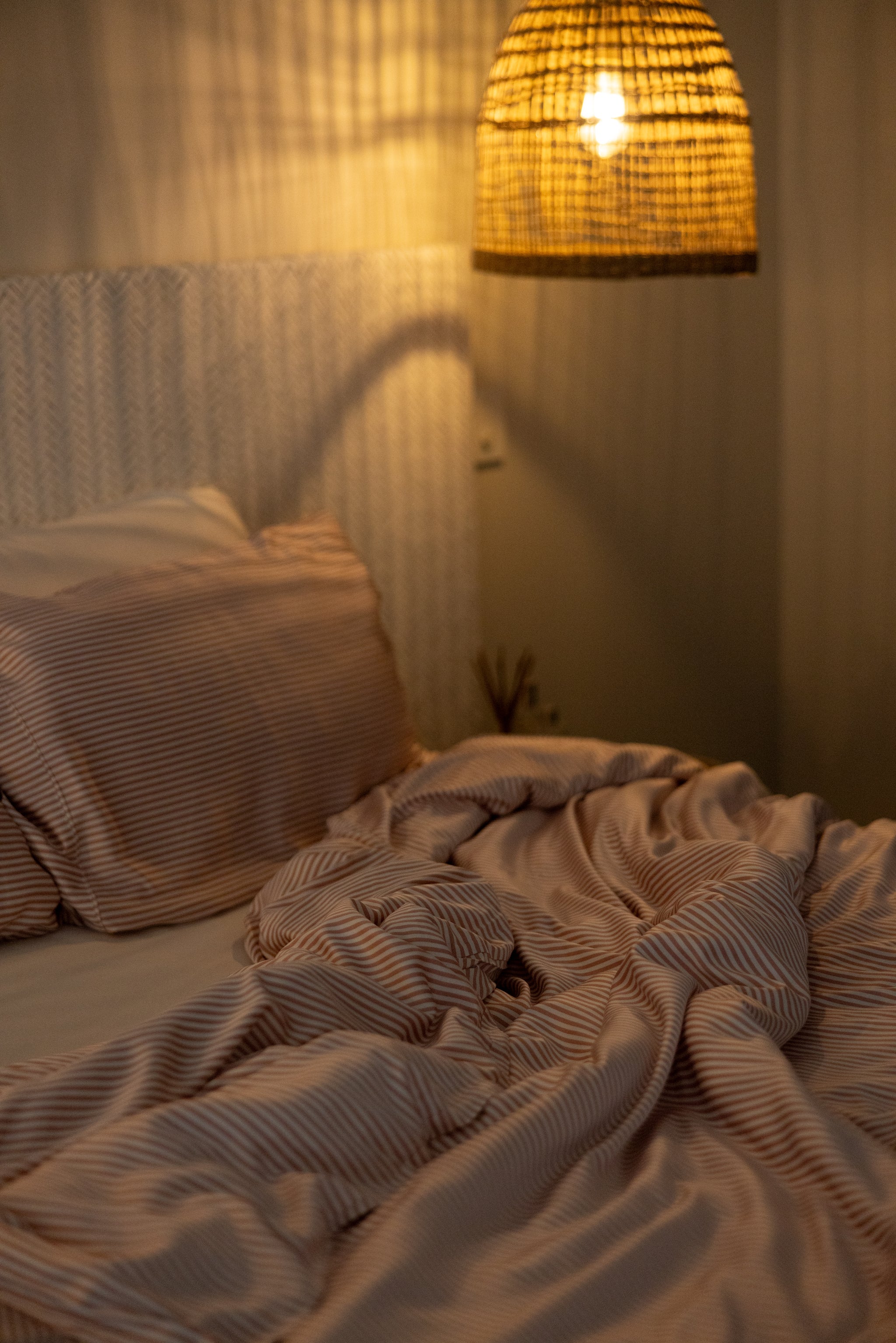 Bamboo Adult Pillowcases Set