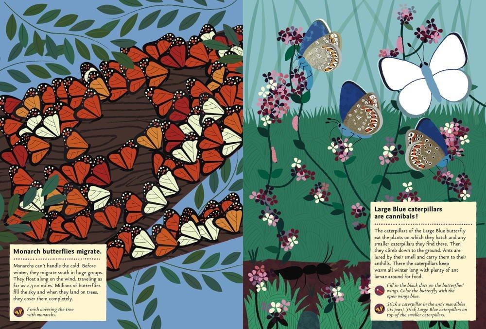 Butterflies of the World: My Nature Sticker Activity Book