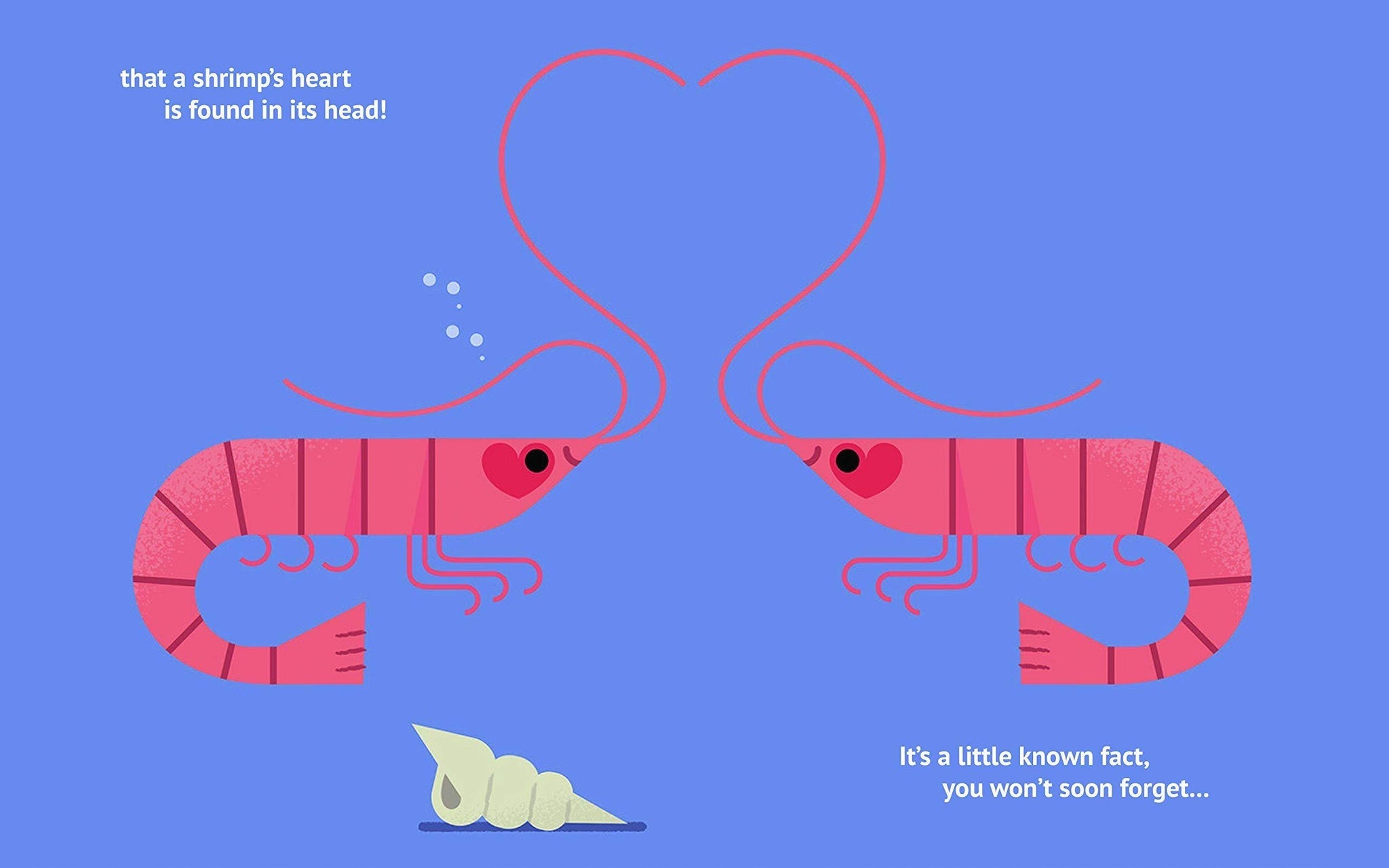 Little Known Facts: Animals