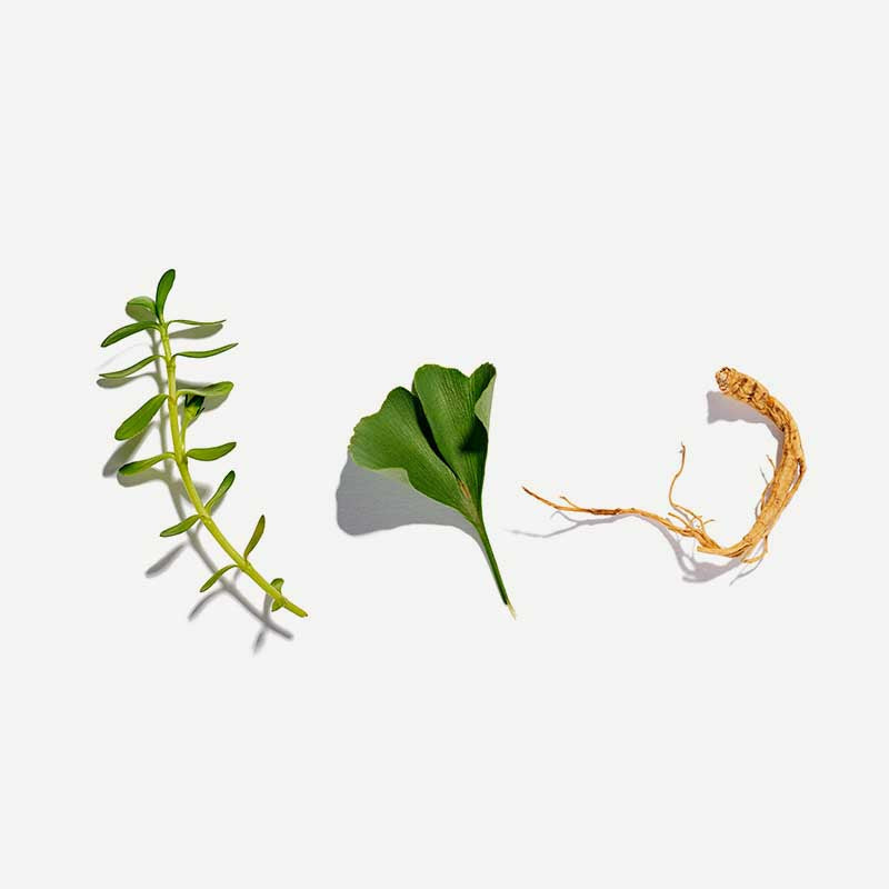 Cognitive Loose Leaf Tea 60g