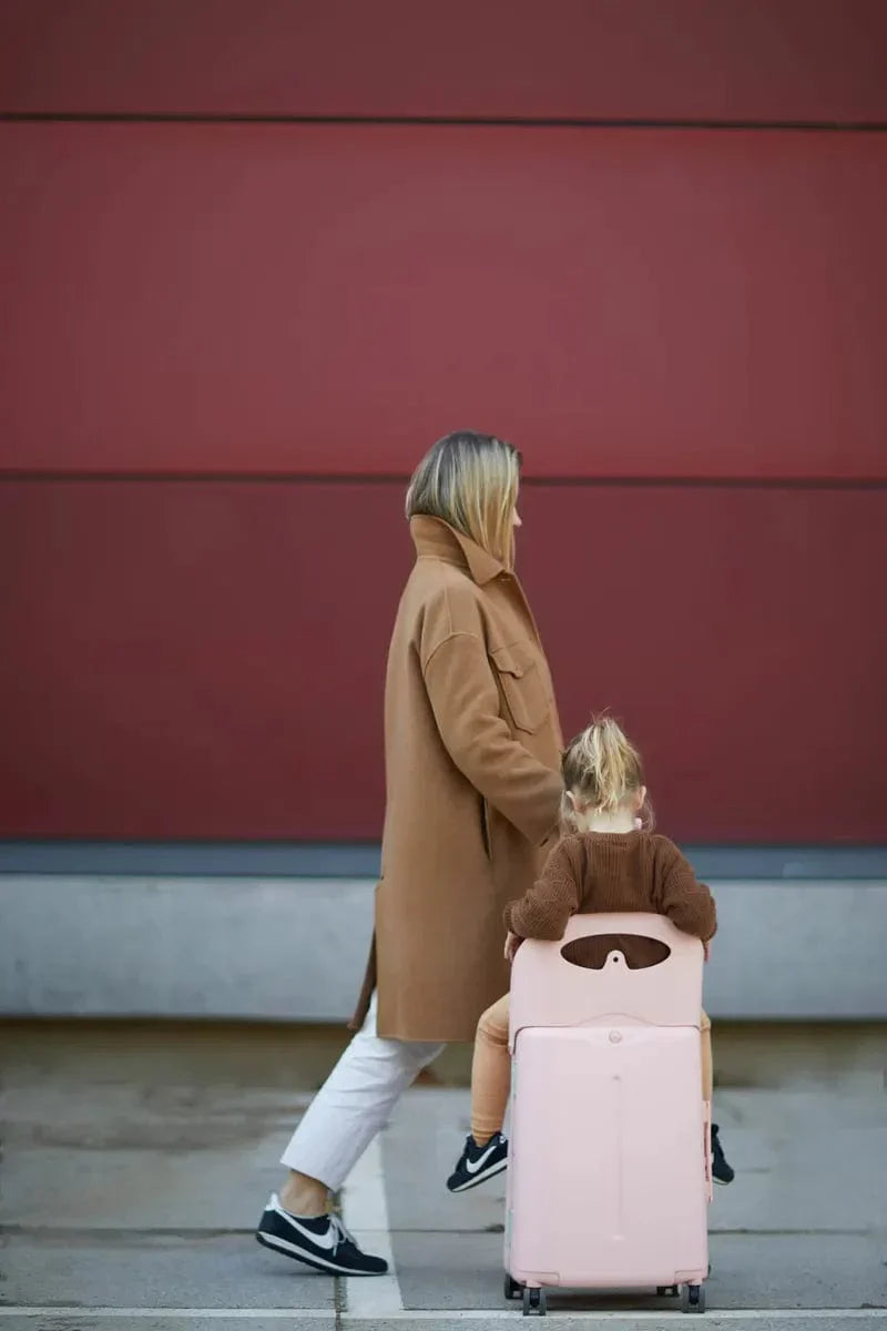 MiaMily 18" Carry On Luggage