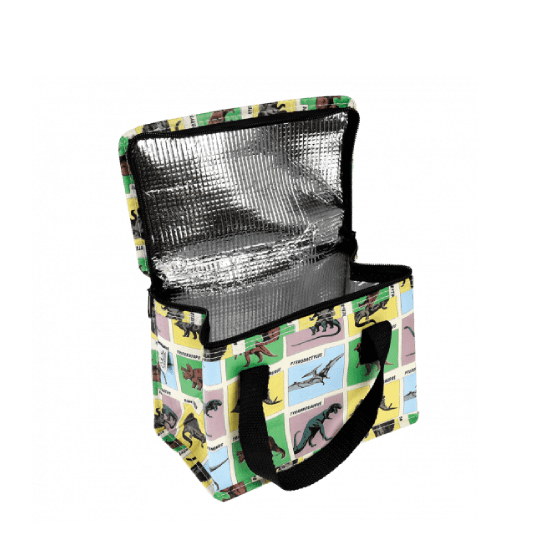 Prehistoric Land Lunch bag