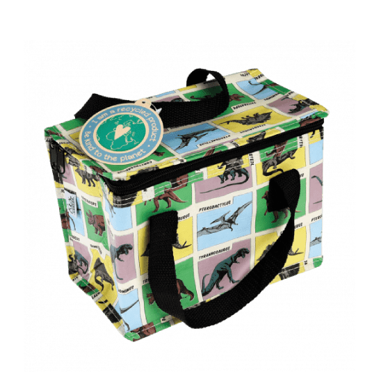 Prehistoric Land Lunch bag