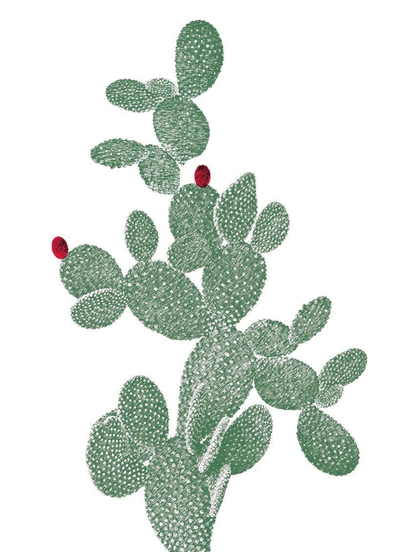 RACKET CACTUS WALL STICKER