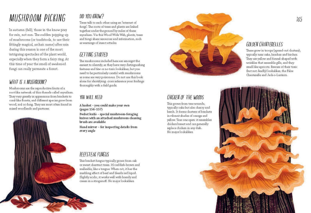 Rewild Your Life: Reconnect to nature over 52 seasonal projects